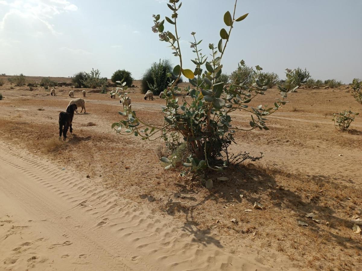 Hotel Relax Inn Jaisalmer Dış mekan fotoğraf